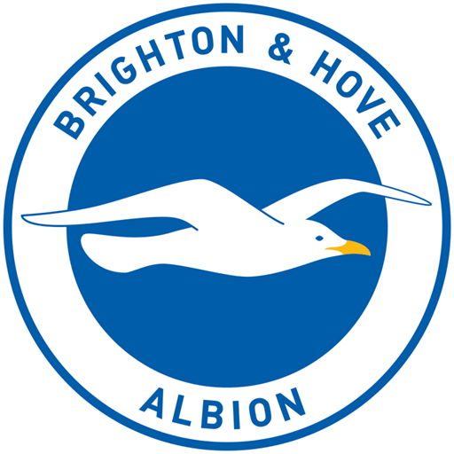 Brighton & Hove F.C